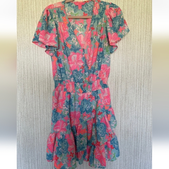Lilly Pulitzer Dresses & Skirts - Lilly Pulitzer Size 8 Maryanne Surf Blue Luscious Lions Dress Floral Ruffles
